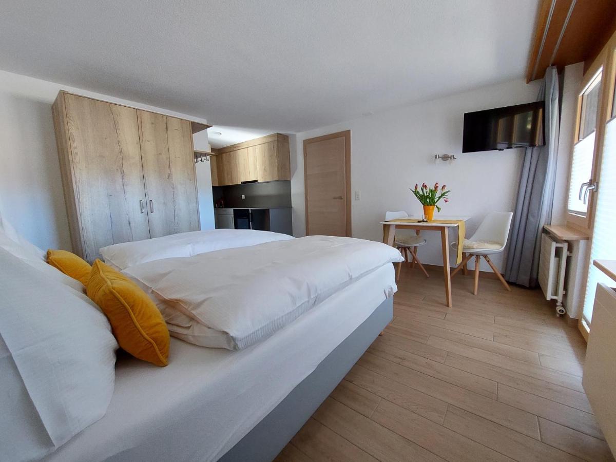 Modernes Apartmán Zermatt